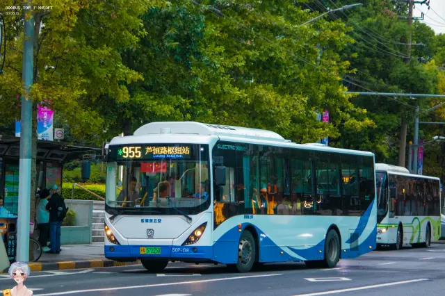 800BUS