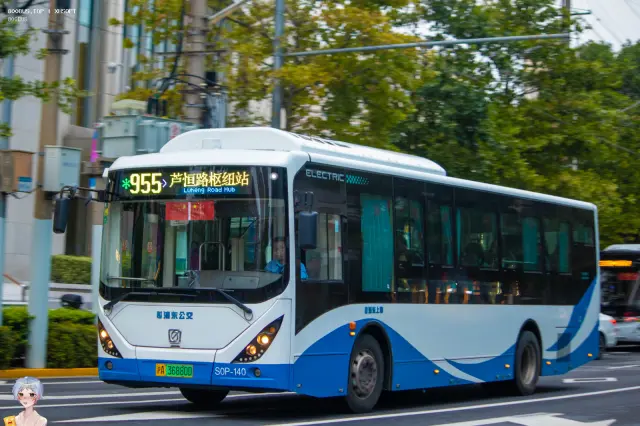 800BUS