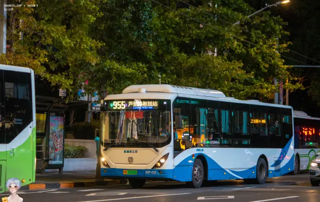 800BUS