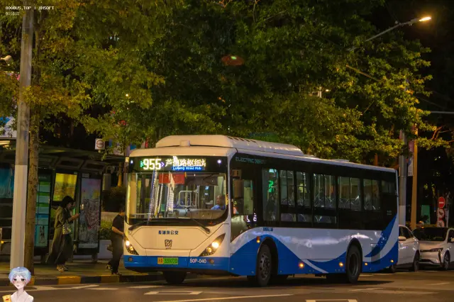 800BUS