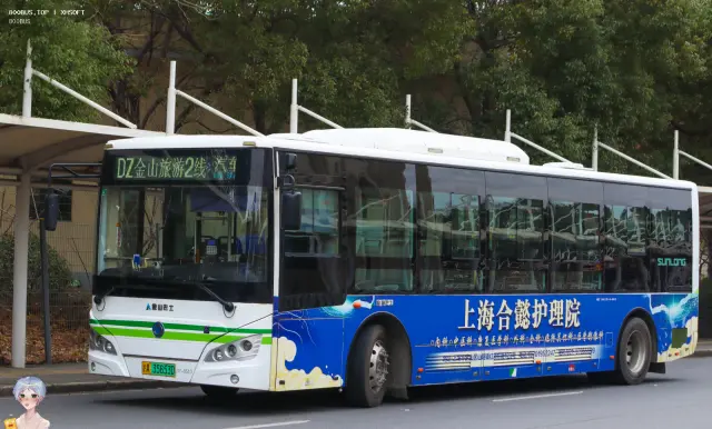 800BUS