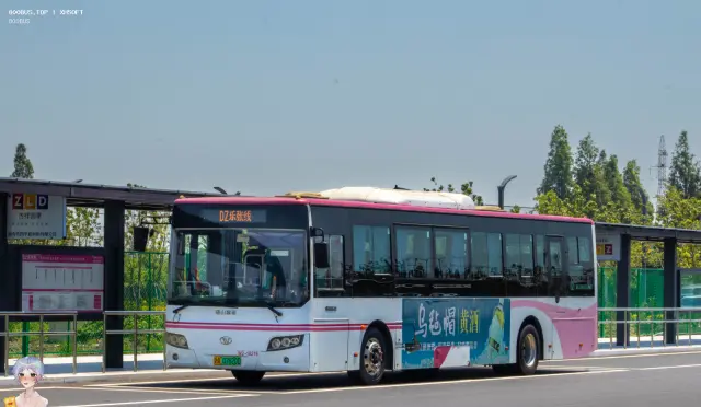 800BUS