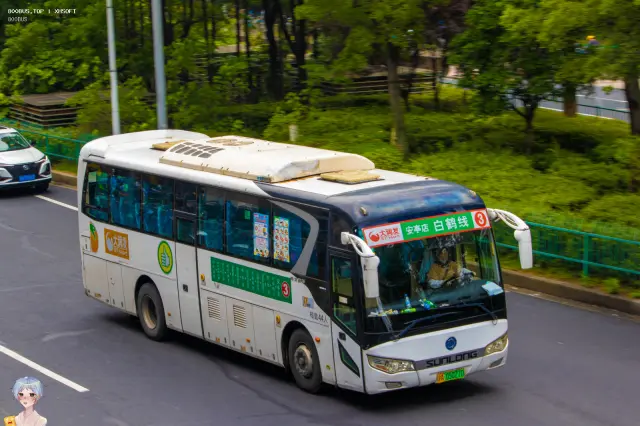 800BUS
