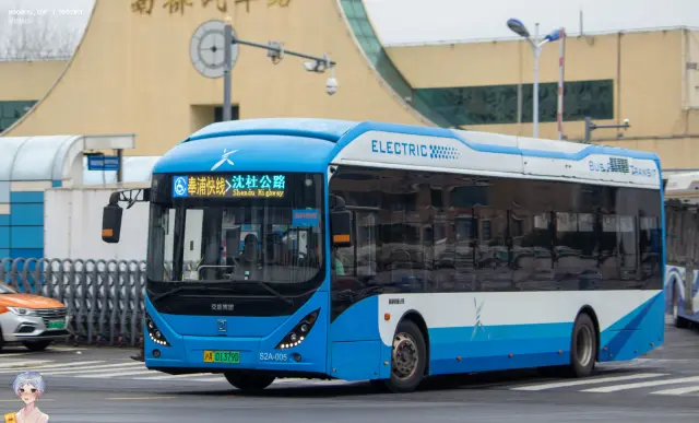 800BUS