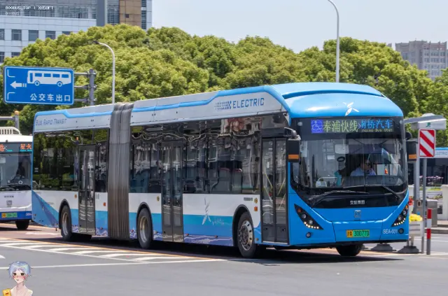 800BUS