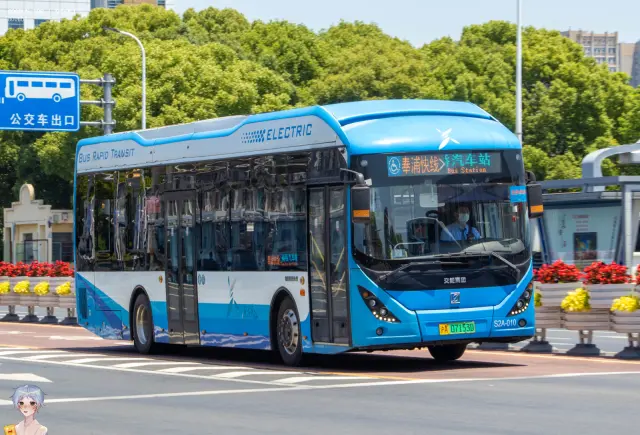 800BUS