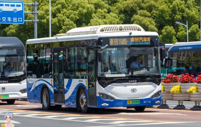 800BUS
