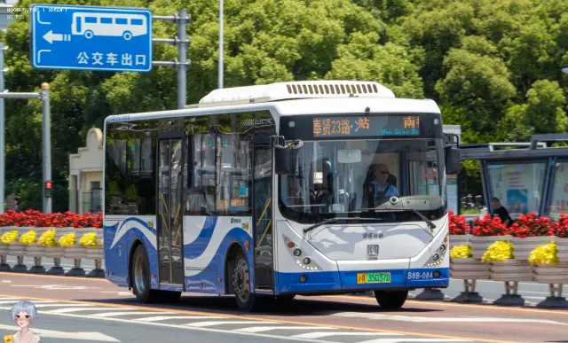 800BUS