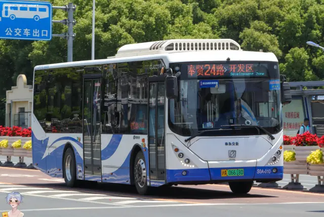 800BUS