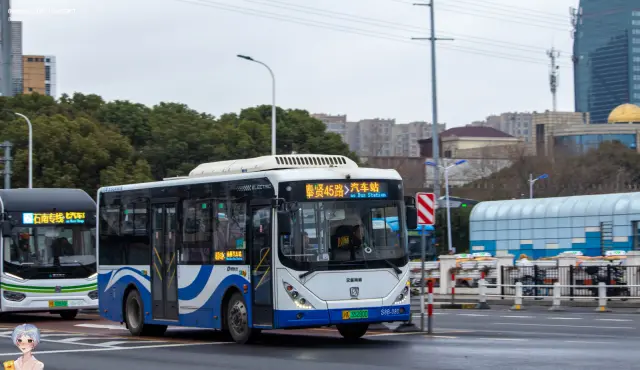 800BUS