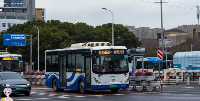 800BUS