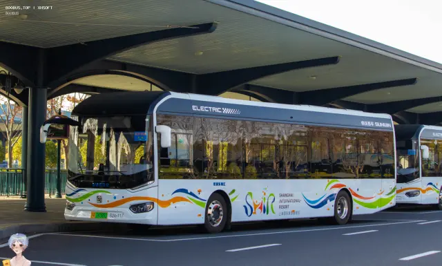 800BUS