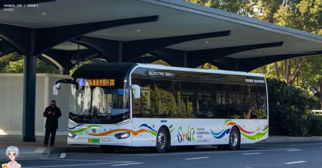 800BUS