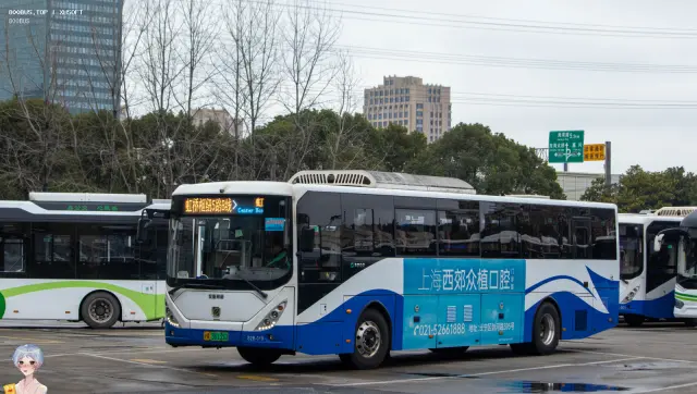 800BUS