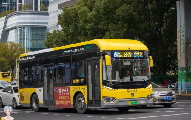 800BUS