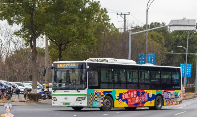 800BUS