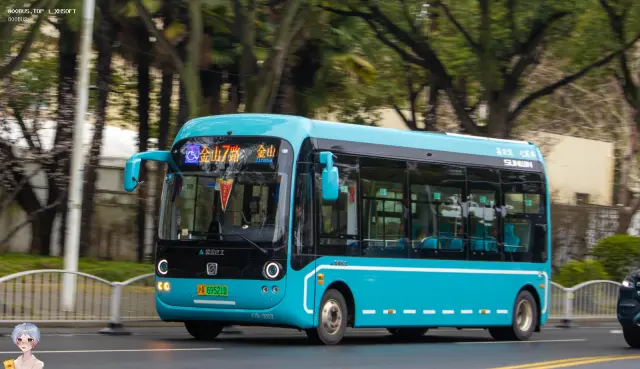 800BUS