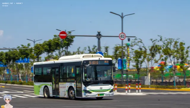 800BUS