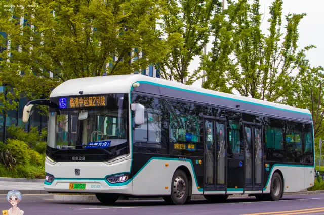 800BUS