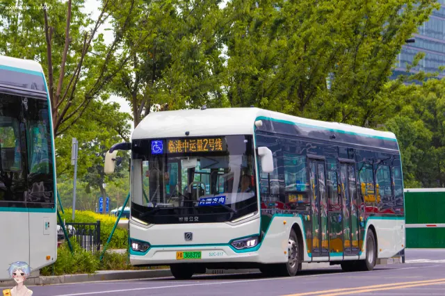 800BUS