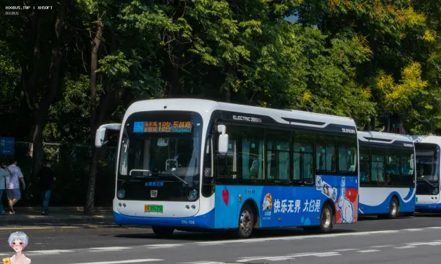 800BUS