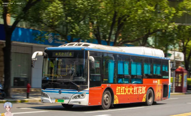 800BUS