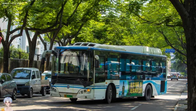 800BUS