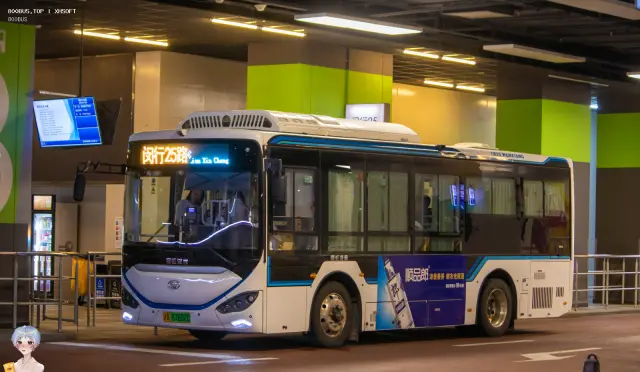 800BUS