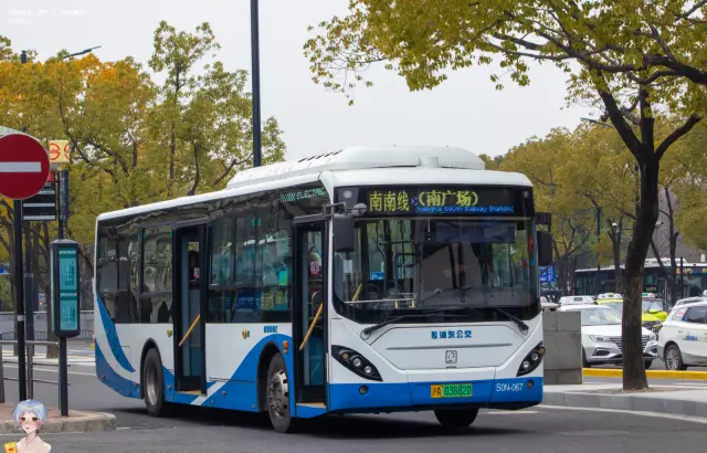 800BUS