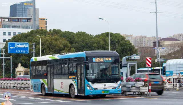 800BUS