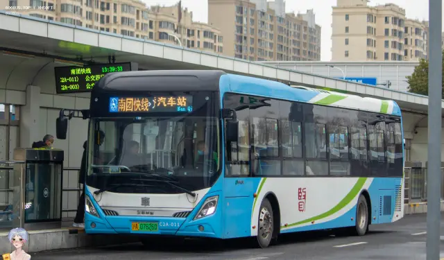 800BUS