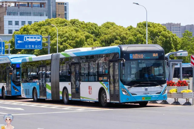 800BUS