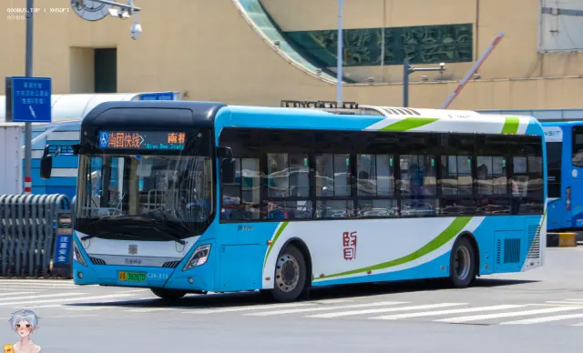 800BUS