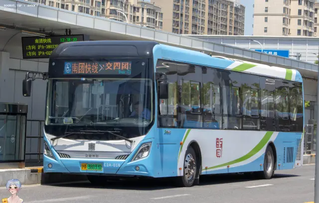 800BUS