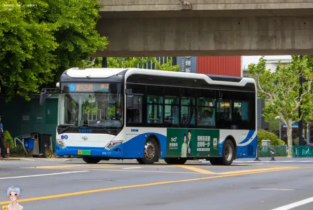 800BUS
