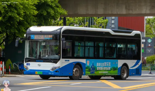 800BUS