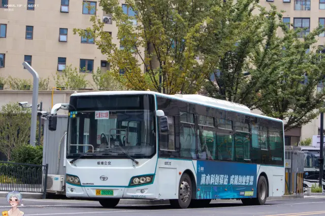 800BUS