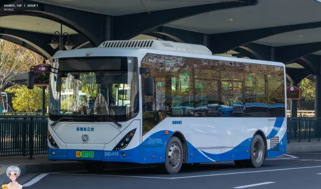 800BUS