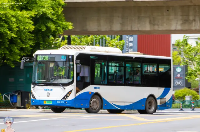 800BUS