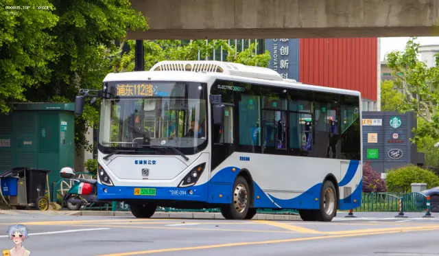 800BUS