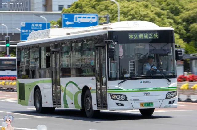 800BUS