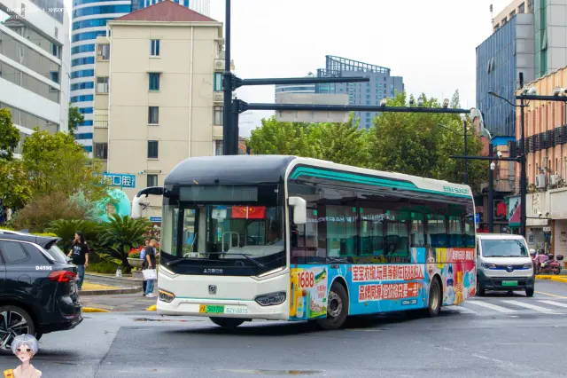 800BUS