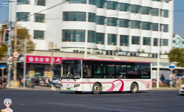 800BUS