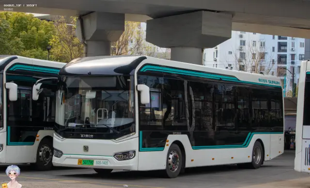 800BUS