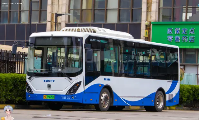 800BUS