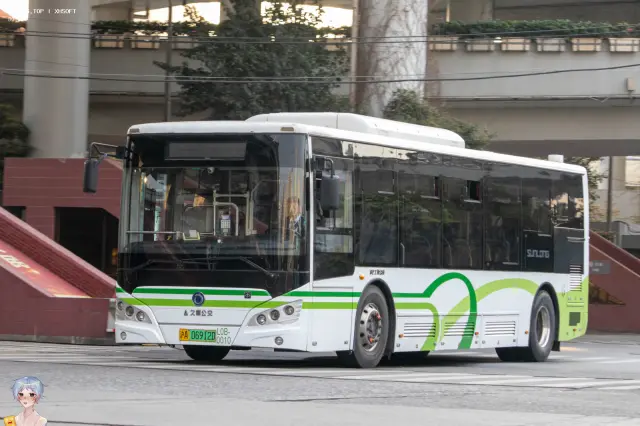 800BUS