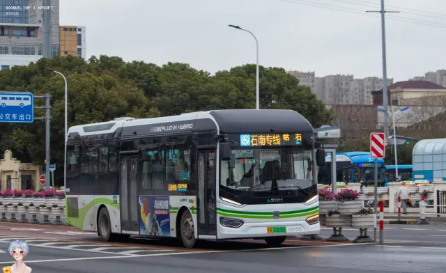800BUS