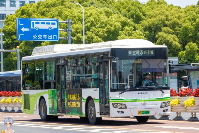 800BUS