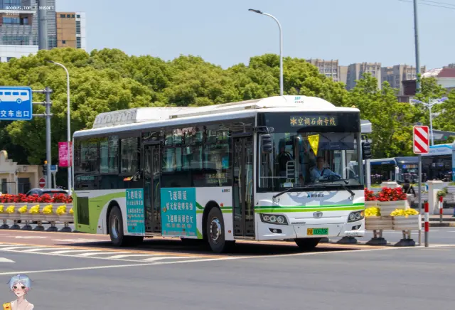800BUS