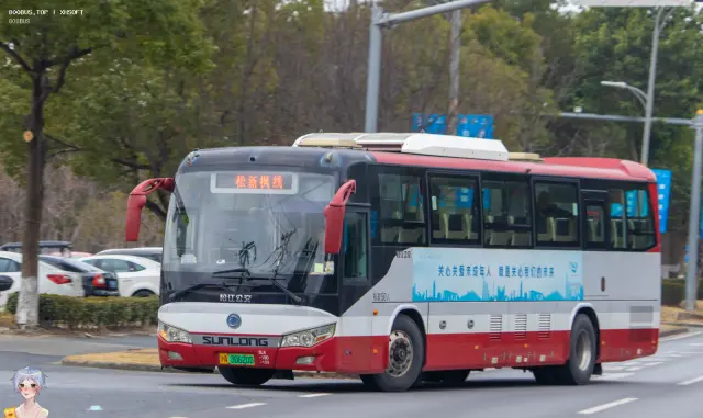 800BUS